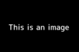This is an image.
